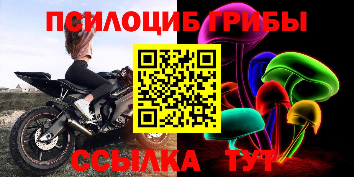 сколько стоит  Вход с VPN  Ачхой-Мартан  Псилоцибиновые грибы мицелий  Галлюциногенные грибы Psilocybe 